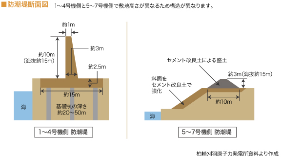 ■防潮堤断面図