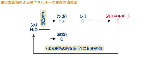 ■水素細菌による高エネルギーの生産の循環図