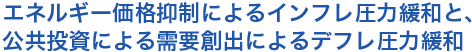 エネルギー価格抑制によるインフレ圧力緩和と、公共投資による需要創出によるデフレ圧力緩和
