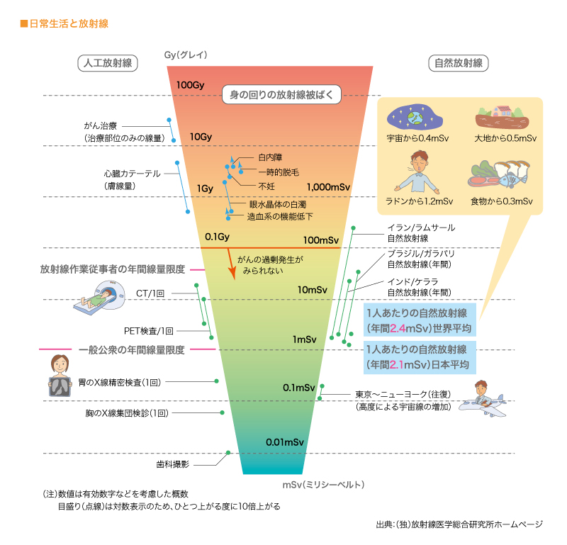  日常生活と放射線