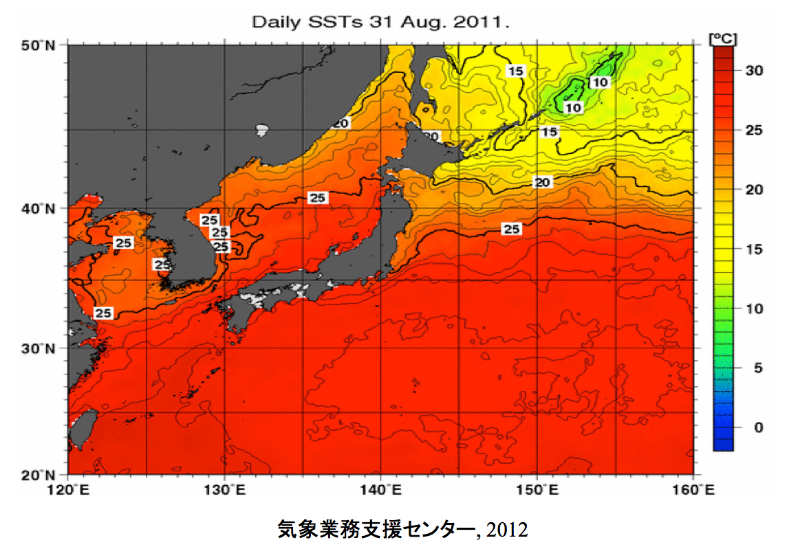 海水温の上昇が台風の発生や強さ、雨量に関係する