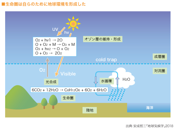 生命圏は自らのために地球環境を形成した