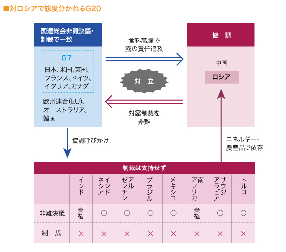 対ロシアで態度分かれるG20


