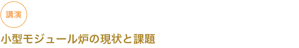 講演
小型モジュール炉の現状と課題



