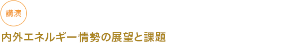 講演 内外エネルギー情勢の展望と課題
																	 



