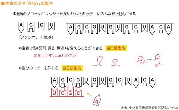 ■生命のタネ「RNA」の誕生　

